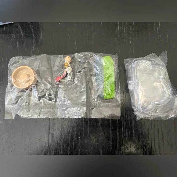 Snoopy Weather terrarium - number 2 Windy Day - Picture 3 of 15